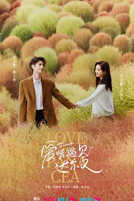 强的seo网站优化排名